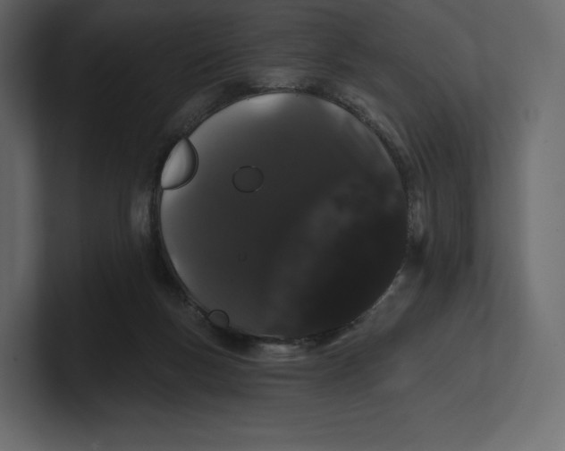 X0000100890167200807151104