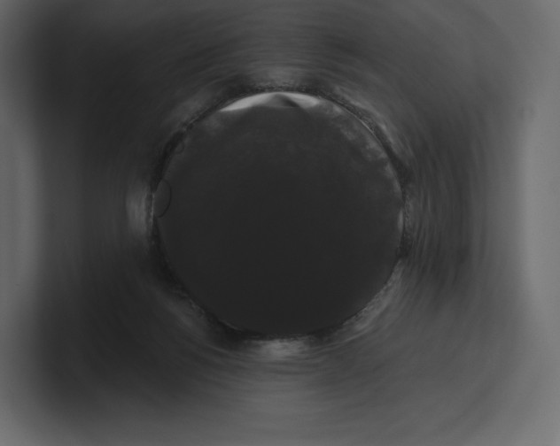 X0000100890168200807151104