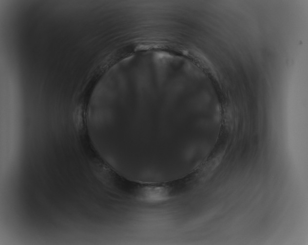 X0000100890169200807151104