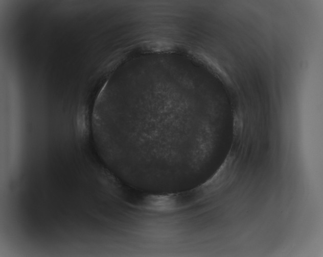 X0000100890170200807151105