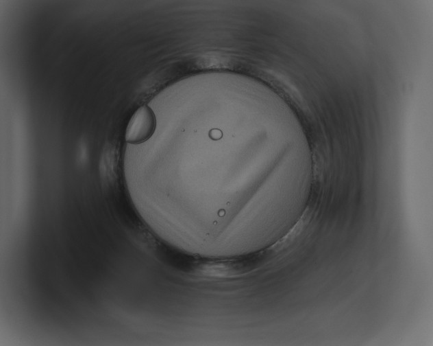 X0000100890171200807151105