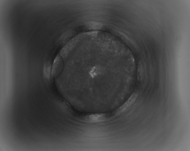 X0000100890172200807151105