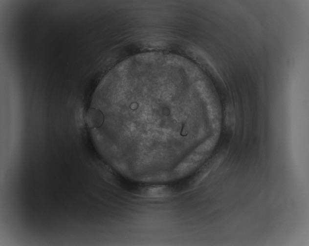 X0000100890173200807151105