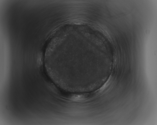 X0000100890174200807151105