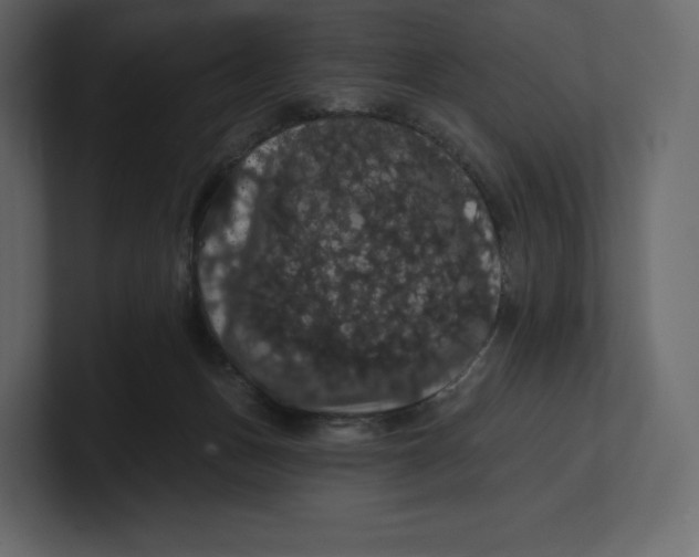 X0000100890175200807151105