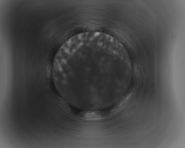 X0000100890177200807151105