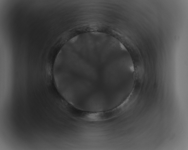 X0000100890178200807151105