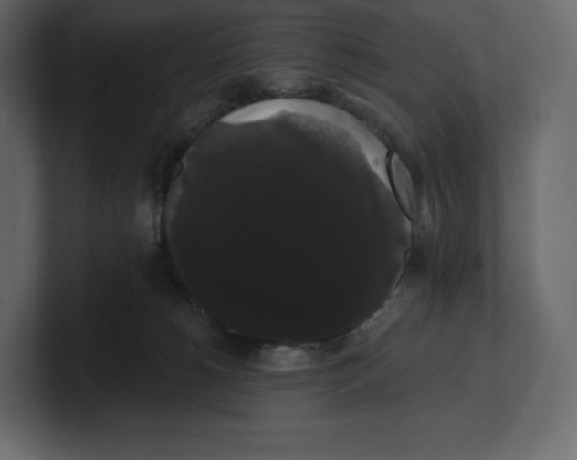 X0000100890180200807151105