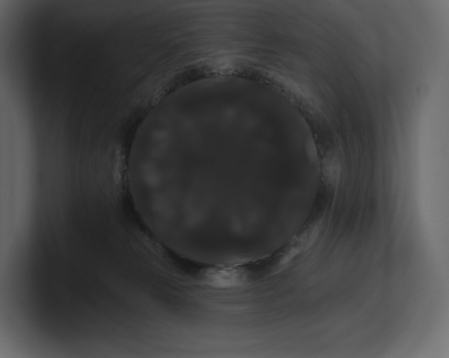 X0000100890181200807151105