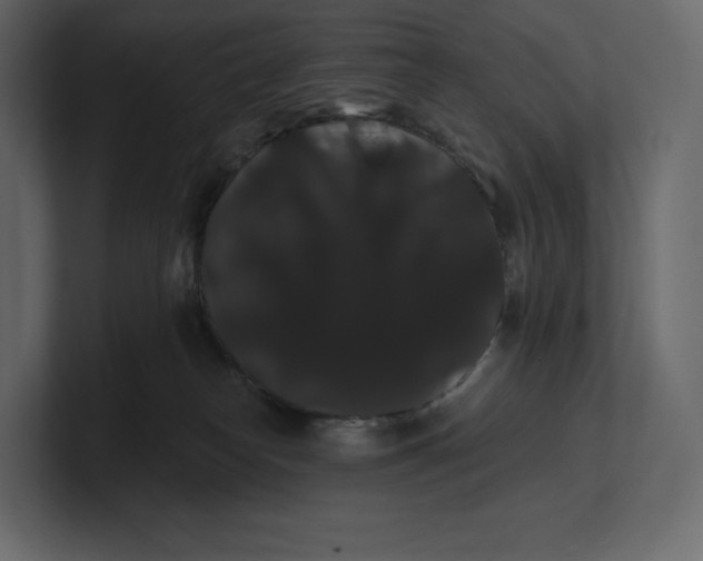 X0000100890182200807151105