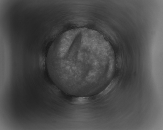 X0000100890184200807151105