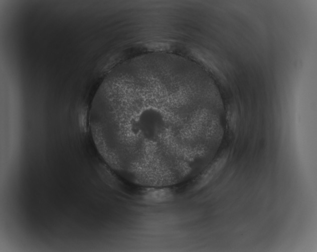 X0000100890185200807151105