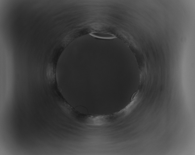 X0000100890186200807151105