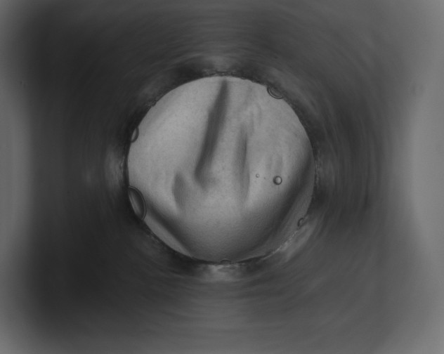 X0000100890188200807151105