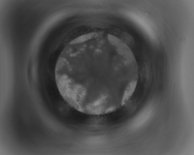 X0000100890189200807151105