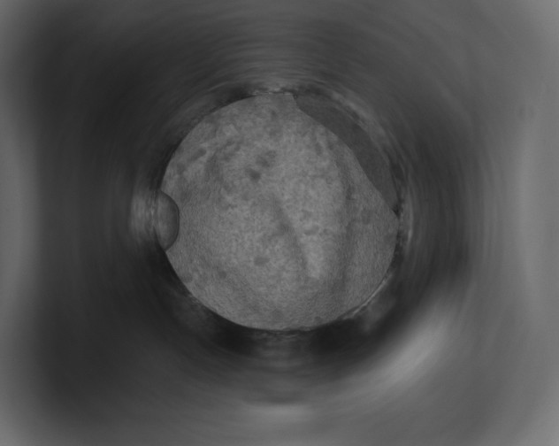 X0000100890191200807151105