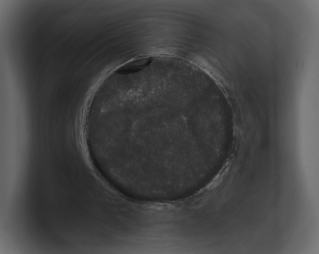 X0000100890193200807151104