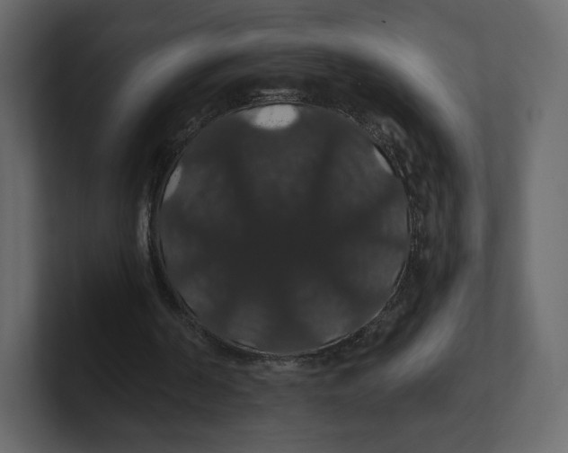 X0000100890194200807151104