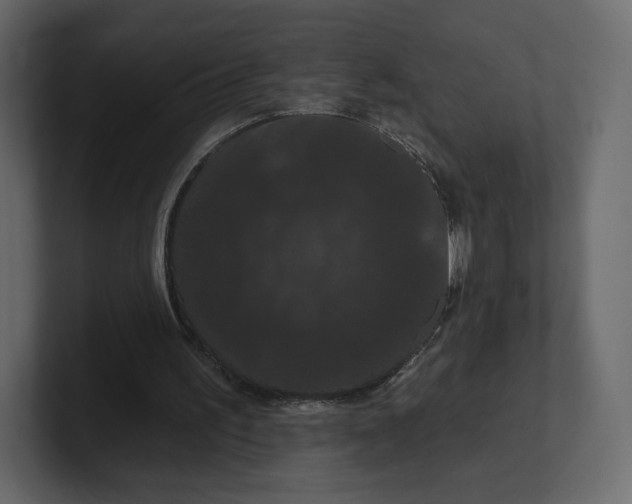 X0000100890195200807151104