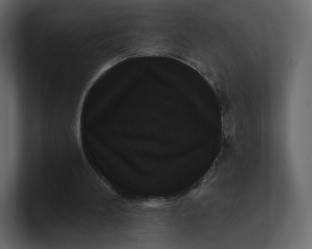 X0000100890196200807151104