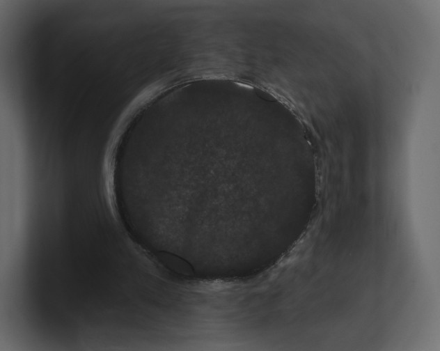 X0000100890197200807151104