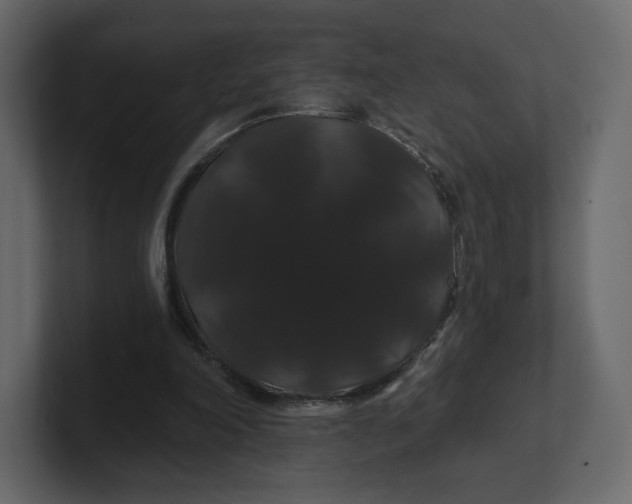 X0000100890198200807151104