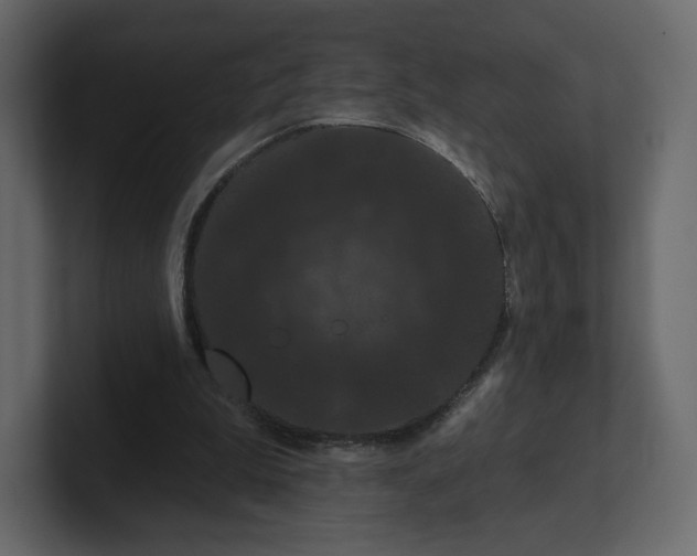 X0000100890199200807151104