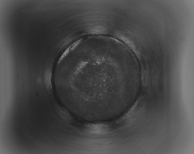 X0000100890201200807151104