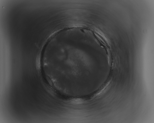 X0000100890203200807151104