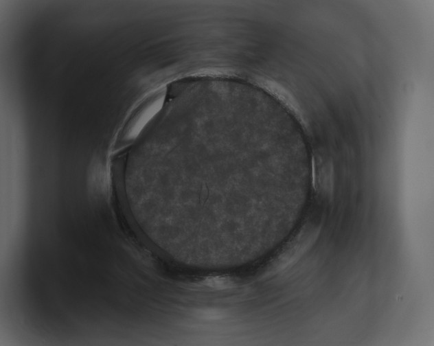 X0000100890204200807151104