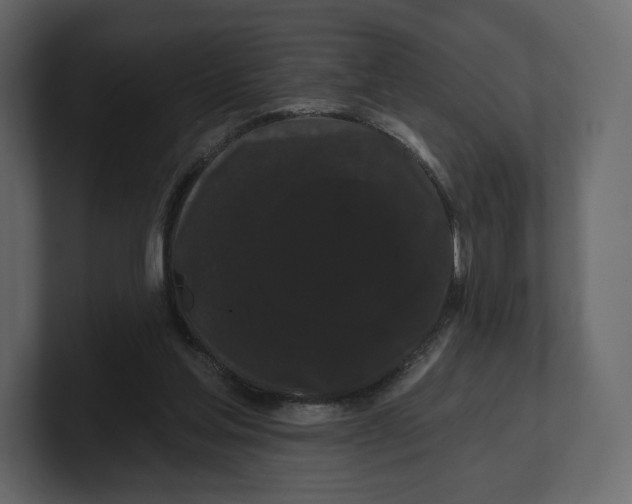 X0000100890205200807151104