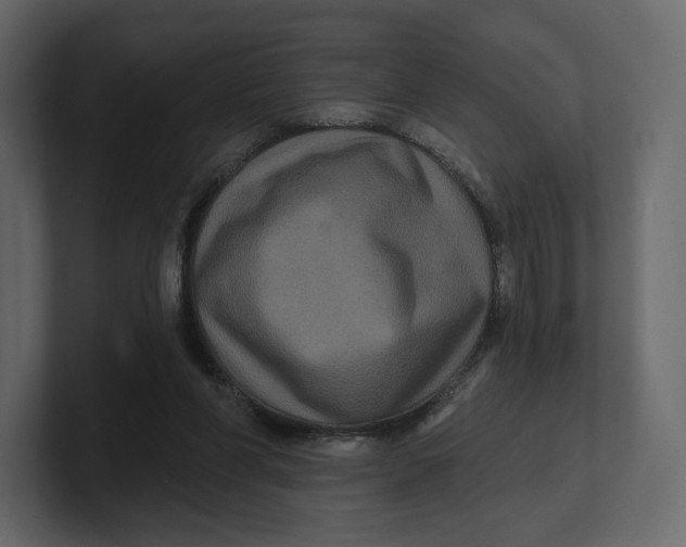 X0000100890206200807151104