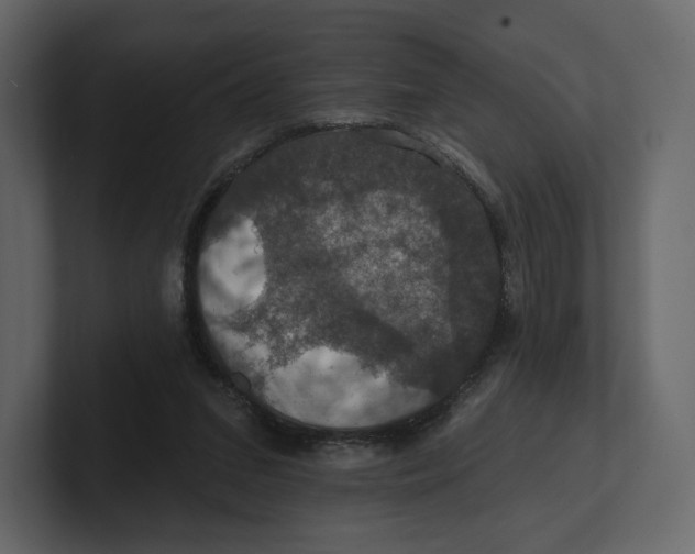 X0000100890207200807151104