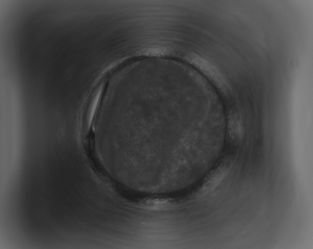 X0000100890208200807151104