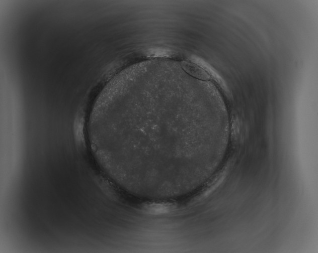 X0000100890209200807151104