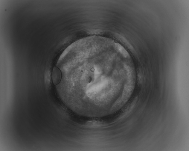 X0000100890211200807151104