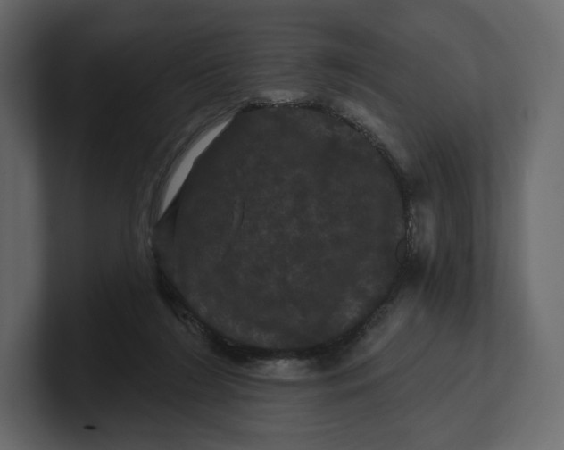 X0000100890212200807151104