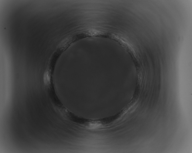 X0000100890214200807151104