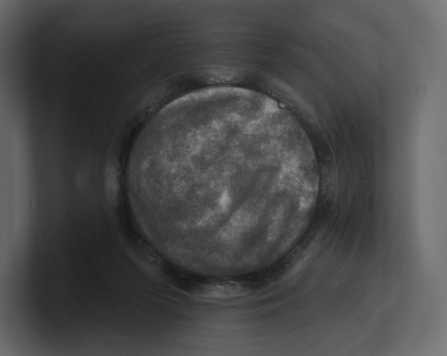 X0000100890215200807151104