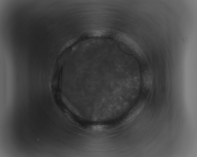 X0000100890216200807151104