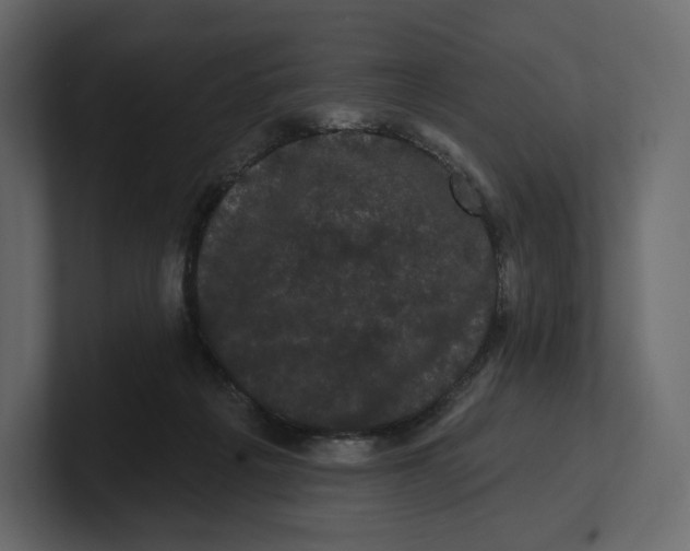 X0000100890217200807151104