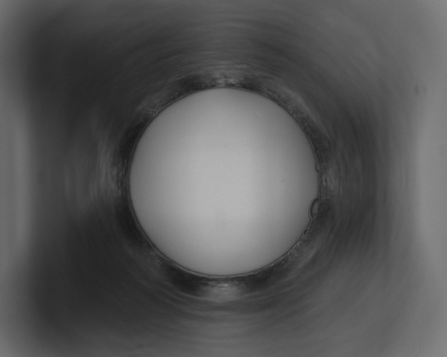 X0000100890218200807151104