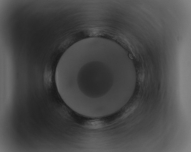 X0000100890219200807151104