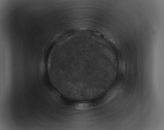 X0000100890220200807151104