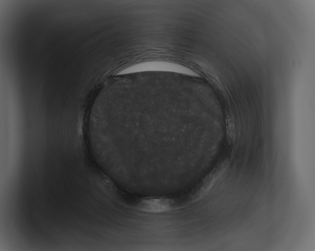 X0000100890221200807151104