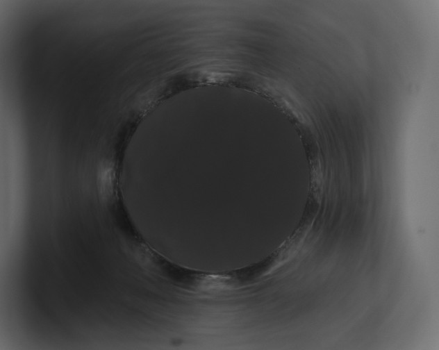 X0000100890222200807151104