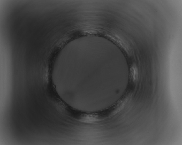 X0000100890223200807151104