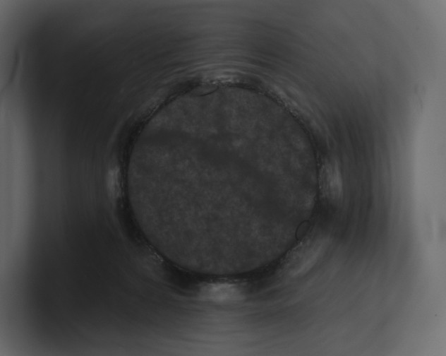 X0000100890224200807151104