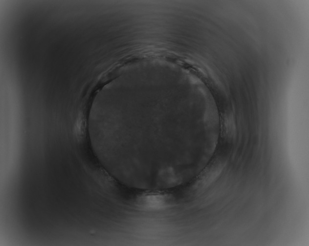 X0000100890228200807151104