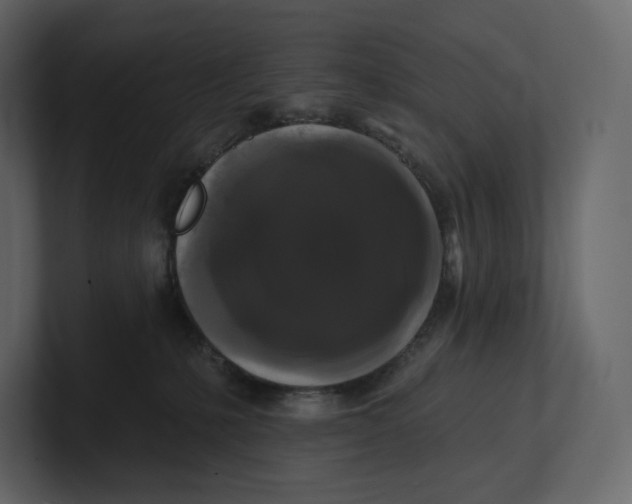 X0000100890231200807151104